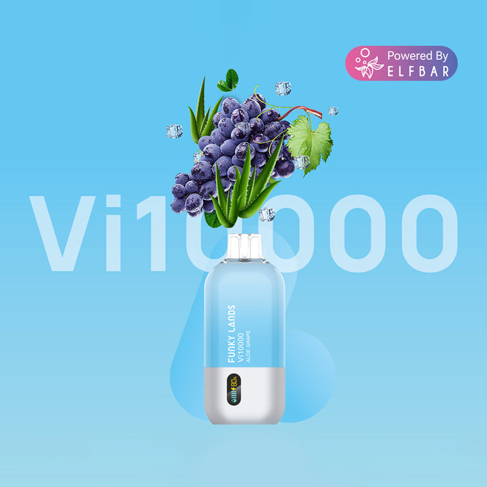 أراضي غير تقليدية يمكن التخلص منها VAPE VI10000 نفخة