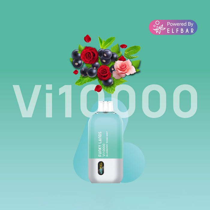 أراضي غير تقليدية يمكن التخلص منها VAPE VI10000 نفخة