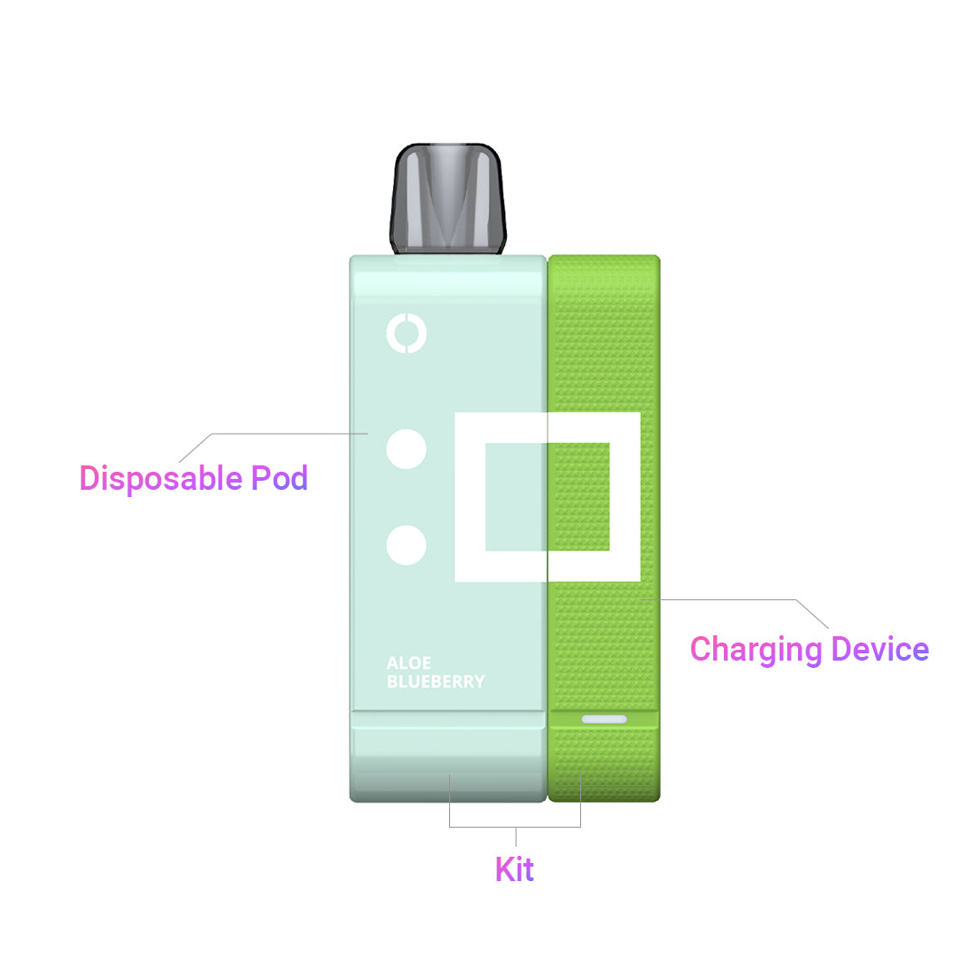 ELFBAR_EW9000_independent_use