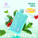ELFBAR BC10000 Disposable Vape 2% Winter Mint 1Pack (10 PCs)