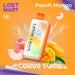LOST MARY MT35000 Turbo 35K Disposable Vape Peach Mango 1Pack (10 PCs)